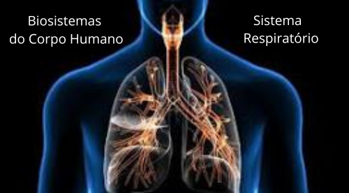 Biosistemas do Corpo Humano
